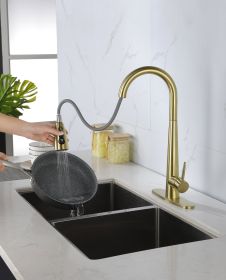 Kitchen Faucet with Pull Down Sprayer , High Arc Single Handle Kitchen Sink Faucet with Deck Plate, Commercial Modern Stainless Steel Kitchen Fau